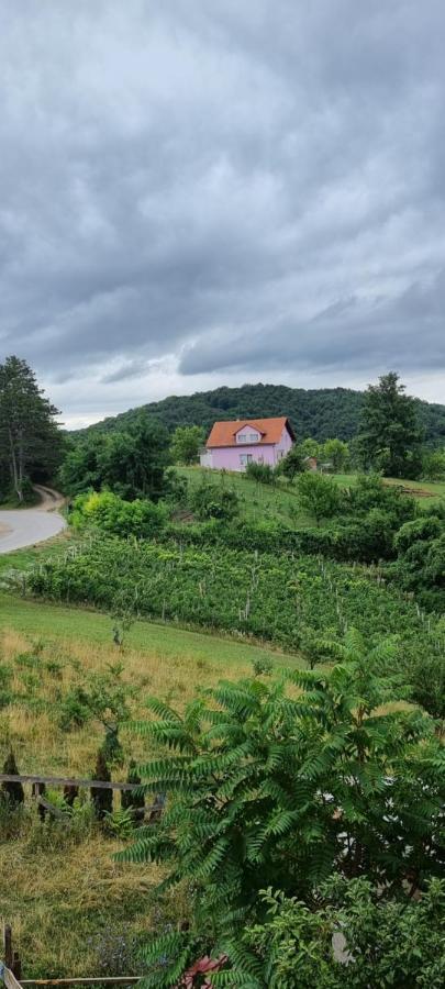 Apartamento Kod Slaveka Kostanjevac Exterior foto